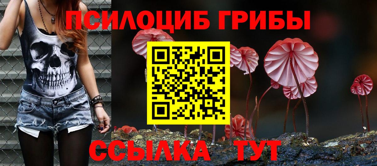 Реутов  Псилоцибиновые грибы Psilocybe  Вход с VPN 